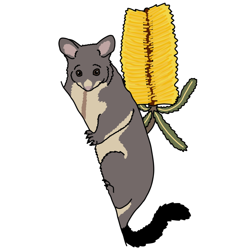 How to make nature great&nbsp;again